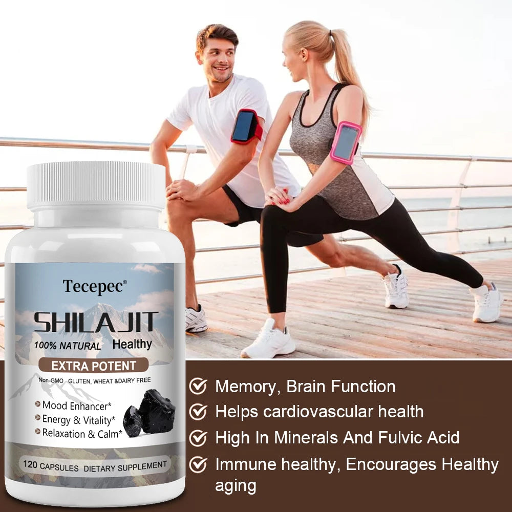 Shilajit Supplement