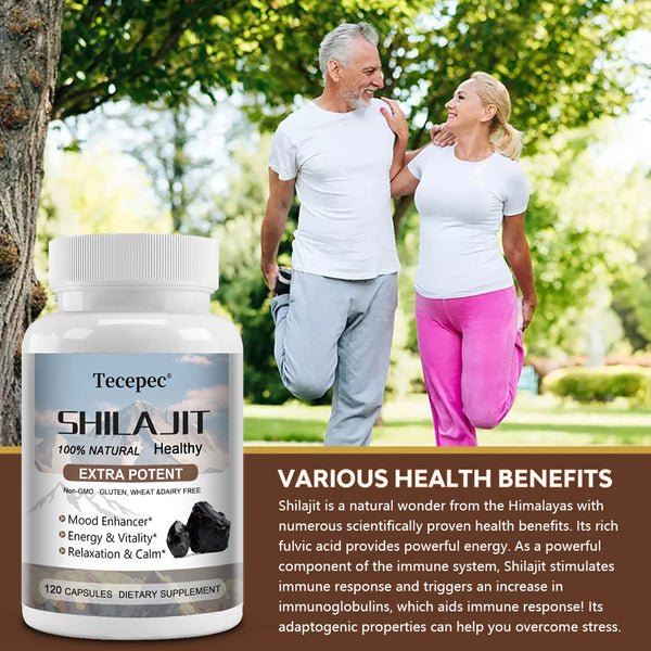 Shilajit Supplement