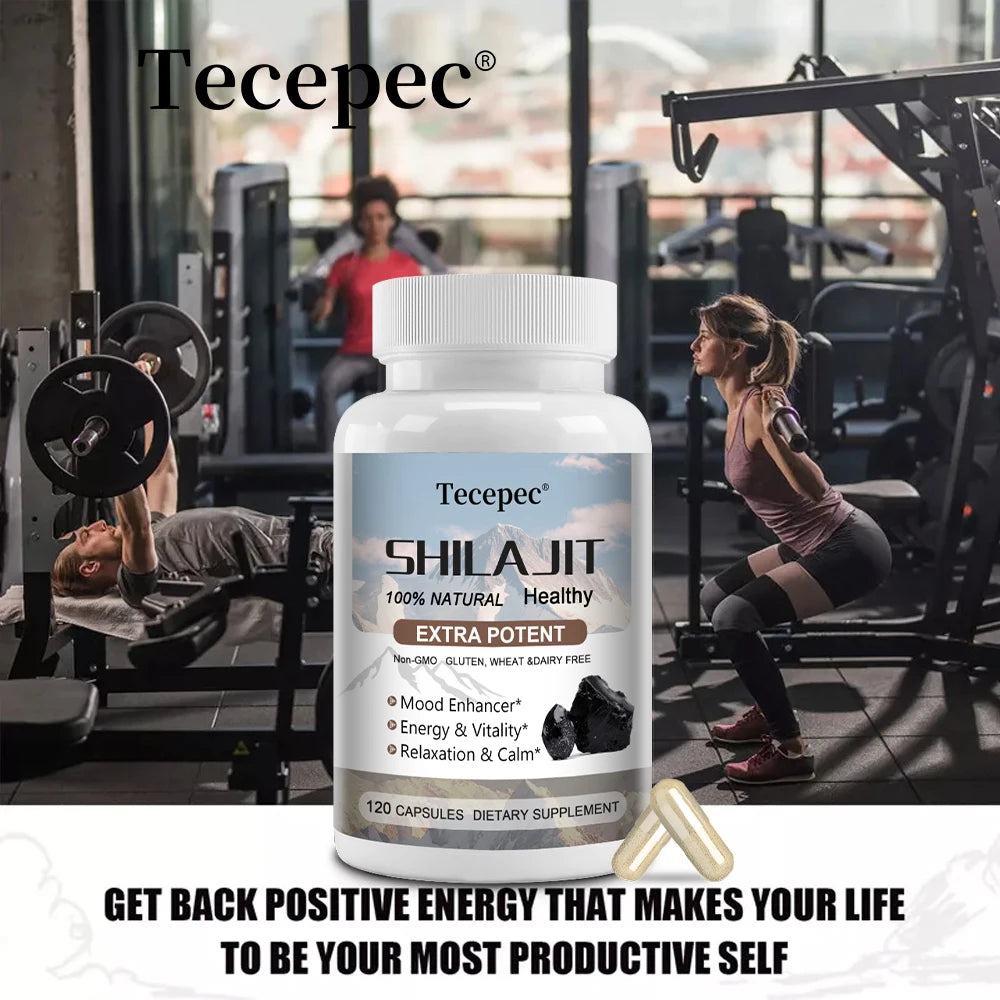 Shilajit Supplement