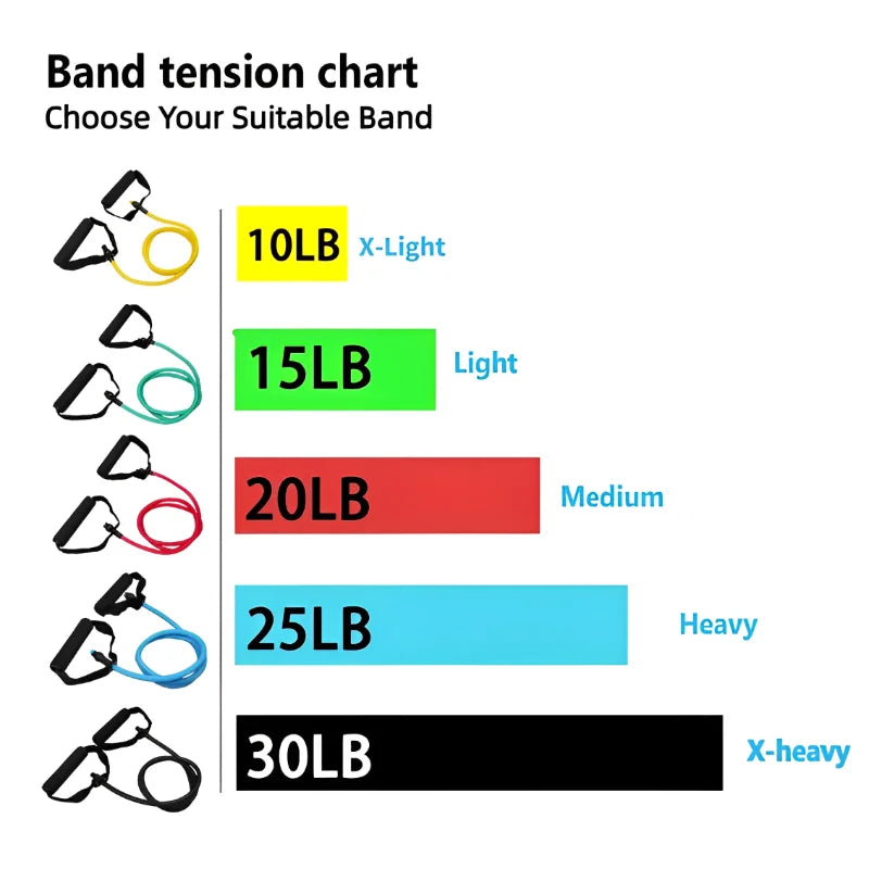 Resistance Bands with Handles – 5-Level Full-Body Workout for Home or Gym